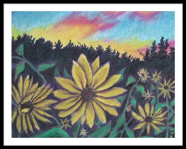 Sunflower Sunset - Framed Print