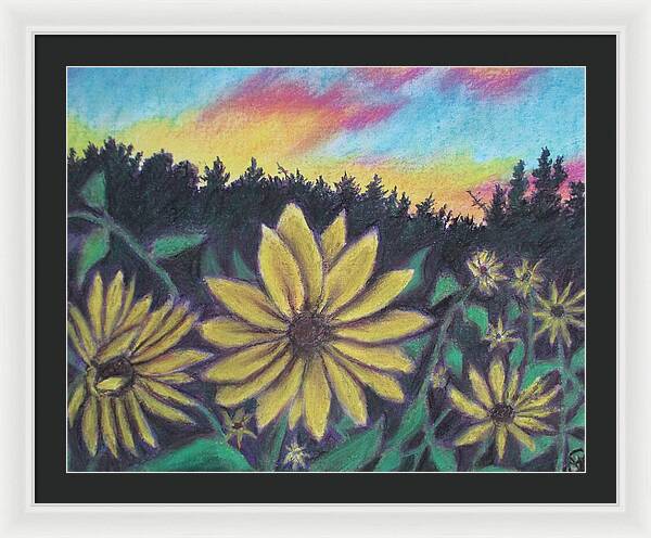 Sunflower Sunset - Framed Print