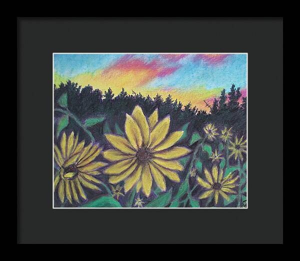 Sunflower Sunset - Framed Print