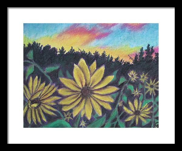 Sunflower Sunset - Framed Print