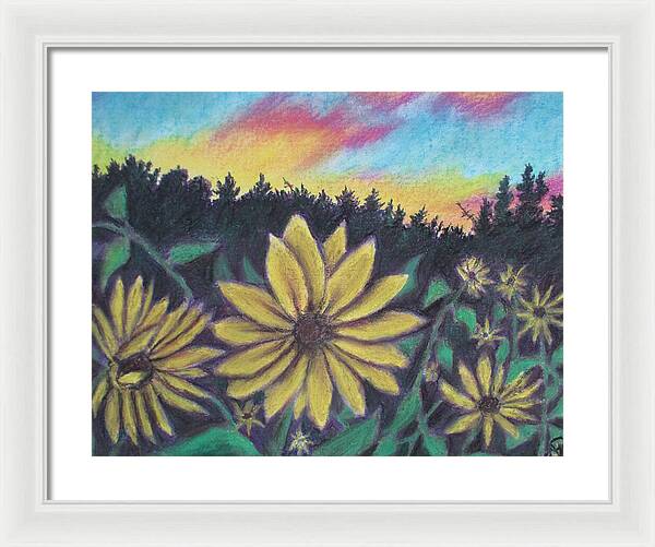 Sunflower Sunset - Framed Print