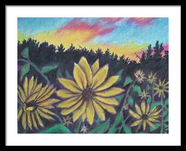 Sunflower Sunset - Framed Print