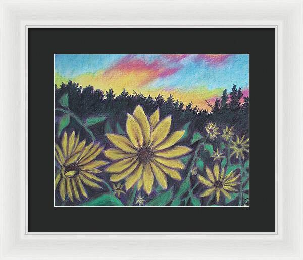 Sunflower Sunset - Framed Print