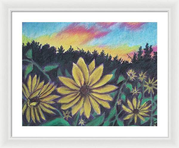 Sunflower Sunset - Framed Print