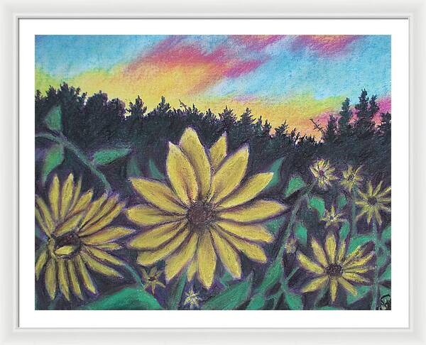 Sunflower Sunset - Framed Print