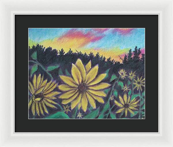 Sunflower Sunset - Framed Print