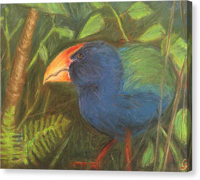 The Takahe - Canvas Print