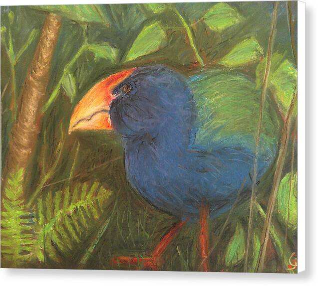 The Takahe - Canvas Print