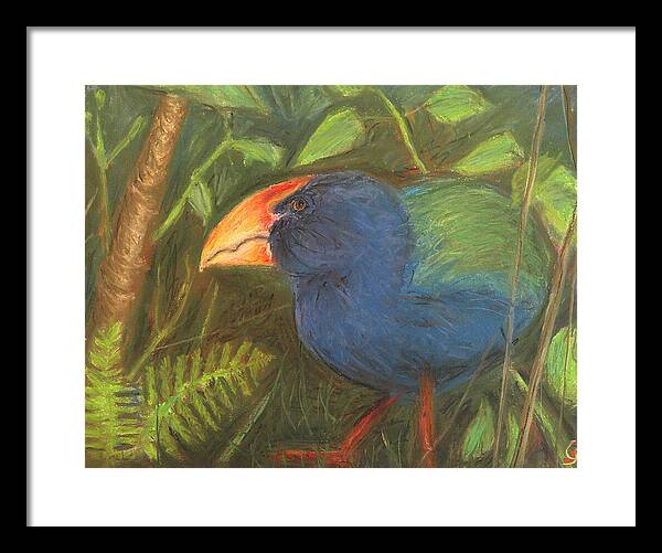 The Takahe - Framed Print