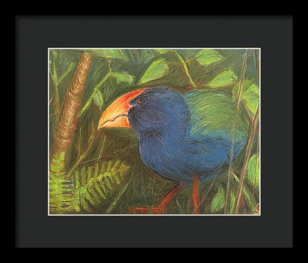 The Takahe - Framed Print