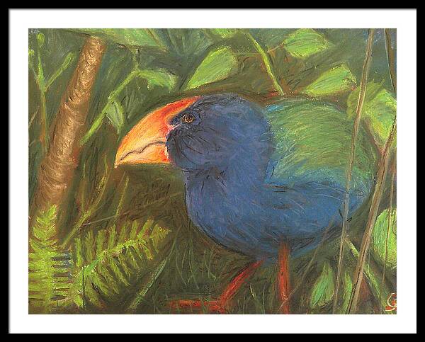 The Takahe - Framed Print