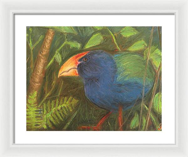 The Takahe - Framed Print