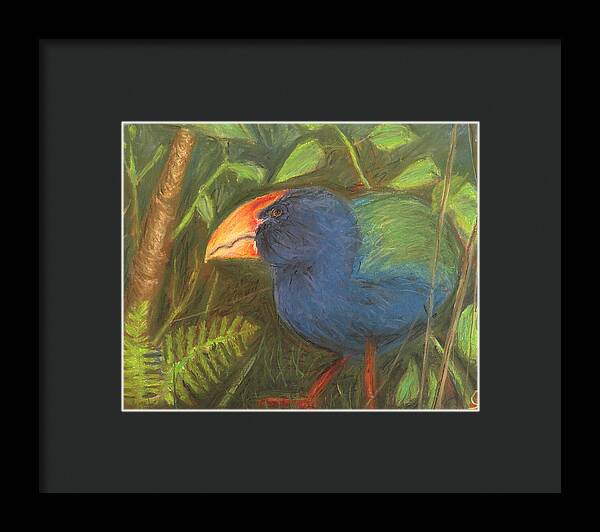 The Takahe - Framed Print