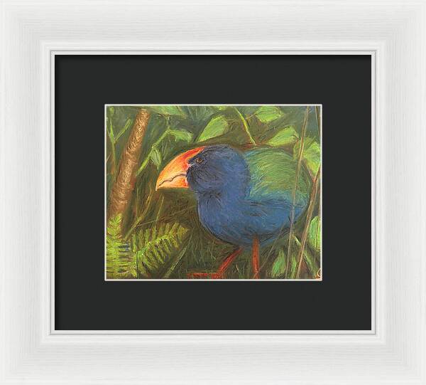 The Takahe - Framed Print