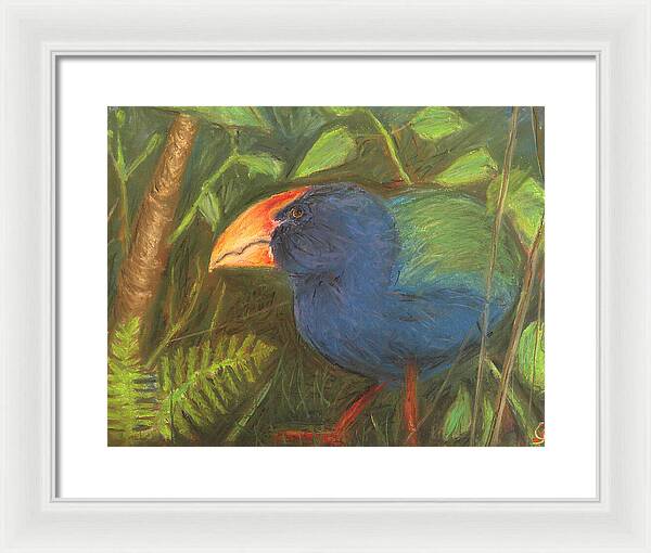 The Takahe - Framed Print