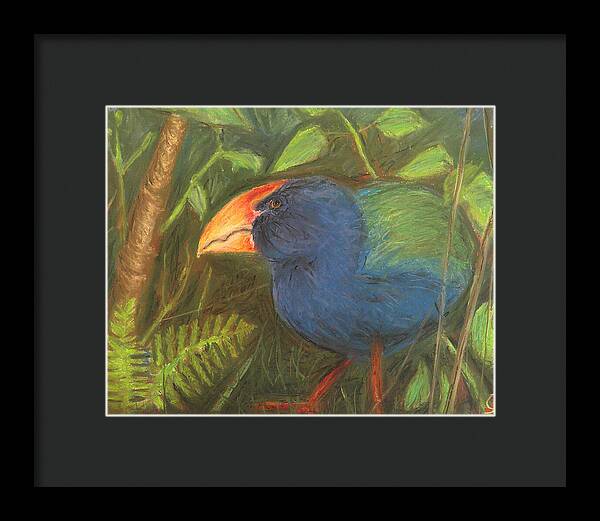 The Takahe - Framed Print