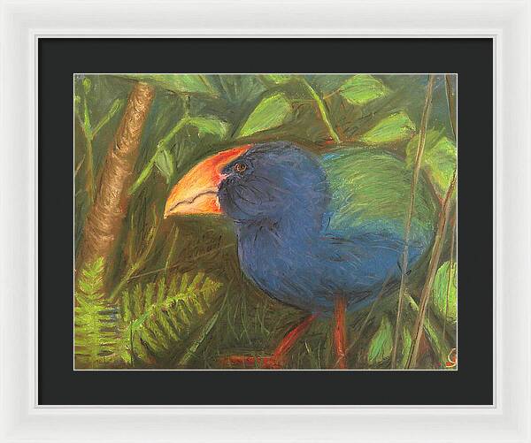 The Takahe - Framed Print