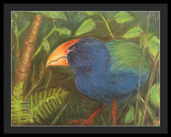 The Takahe - Framed Print