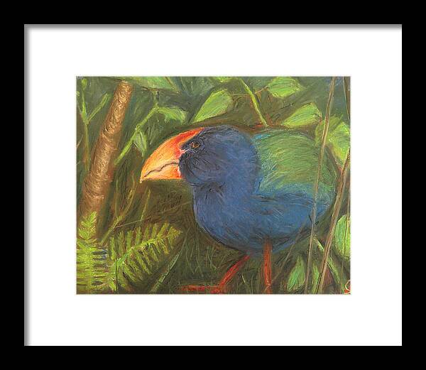 The Takahe - Framed Print