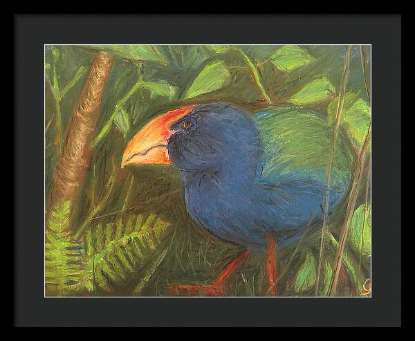 The Takahe - Framed Print