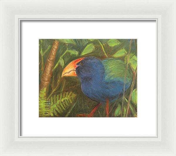 The Takahe - Framed Print