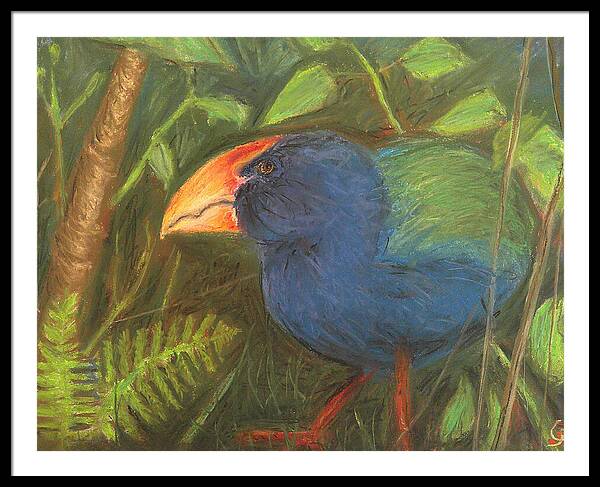 The Takahe - Framed Print