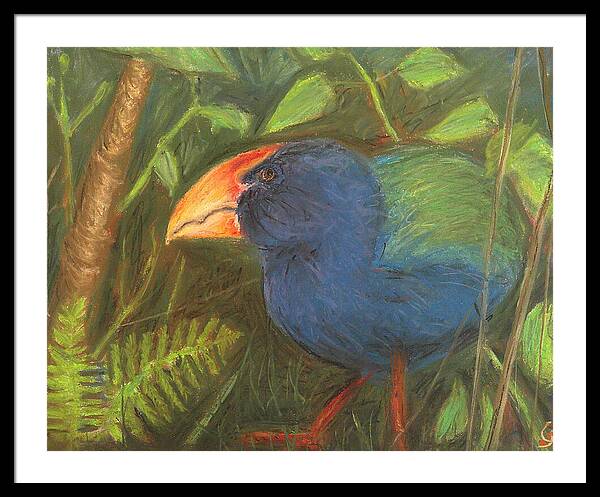 The Takahe - Framed Print