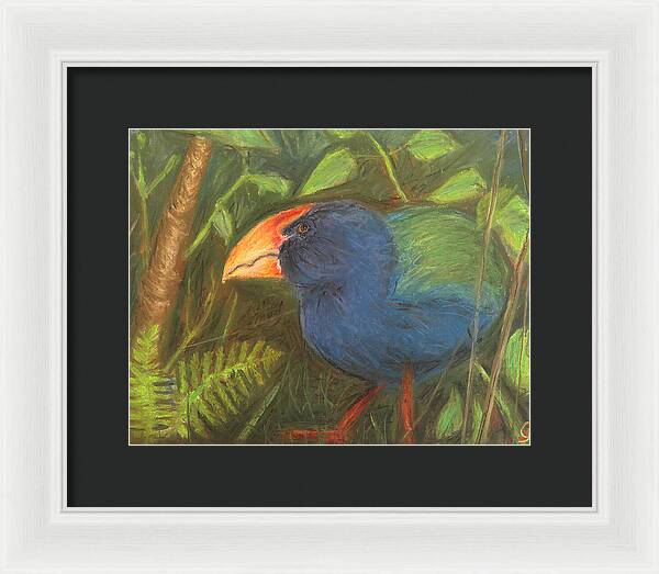 The Takahe - Framed Print