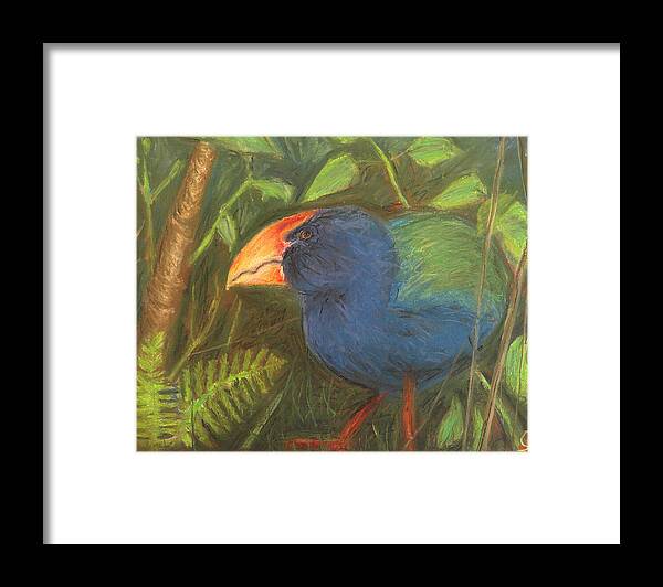 The Takahe - Framed Print