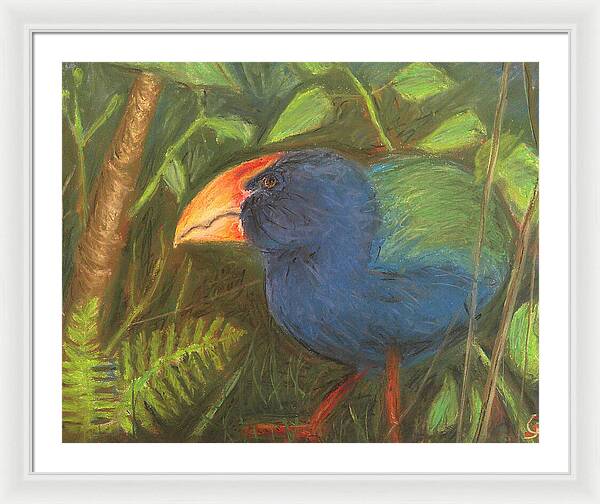 The Takahe - Framed Print