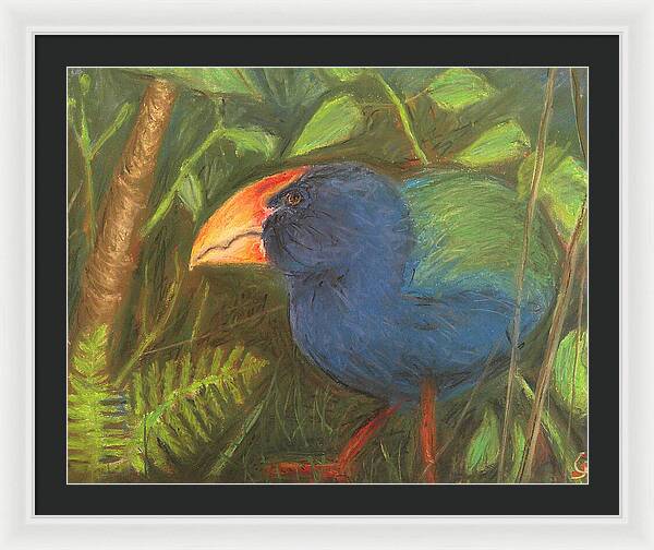 The Takahe - Framed Print