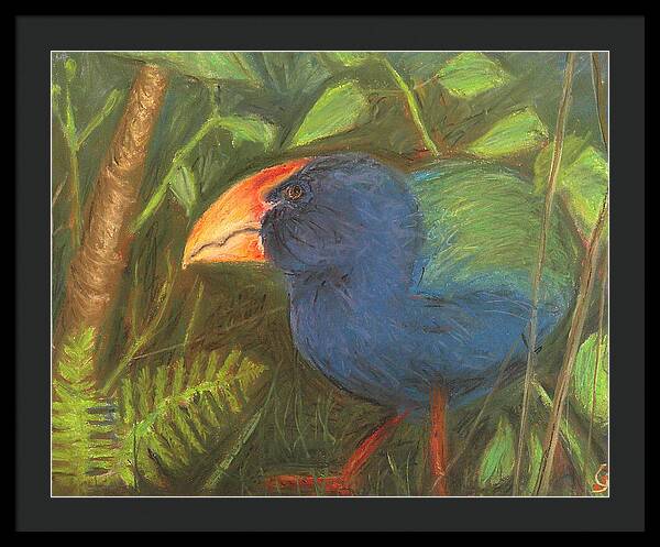 The Takahe - Framed Print