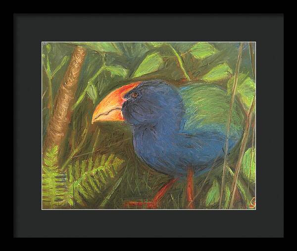 The Takahe - Framed Print