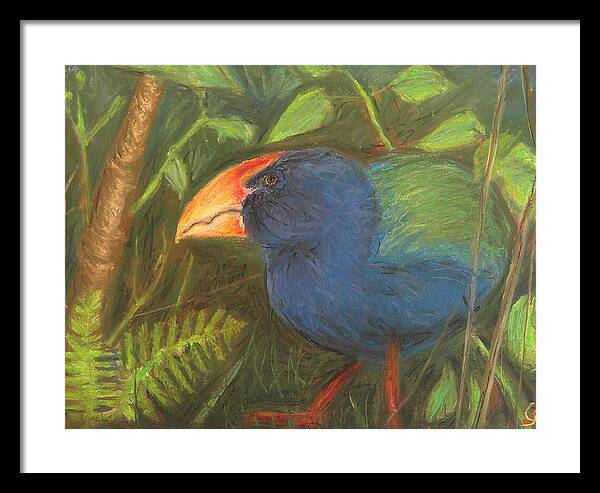 The Takahe - Framed Print