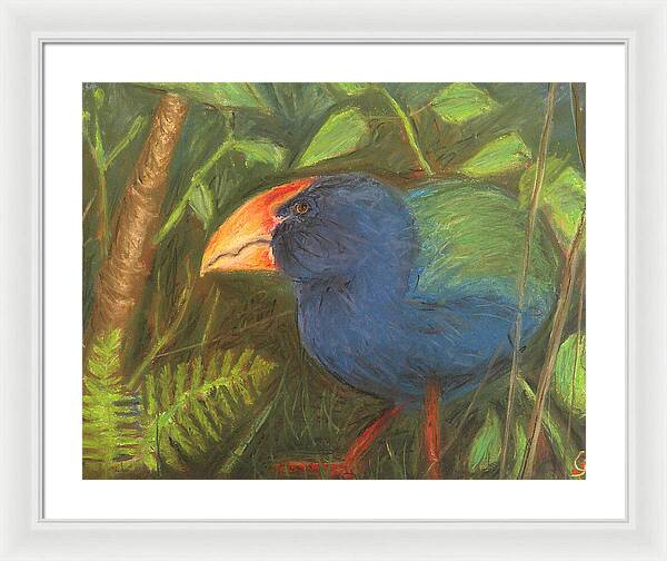 The Takahe - Framed Print