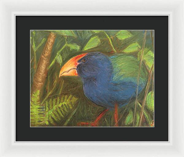 The Takahe - Framed Print