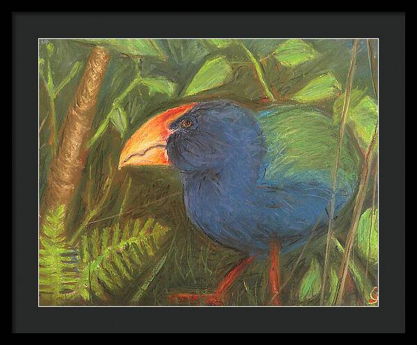 The Takahe - Framed Print