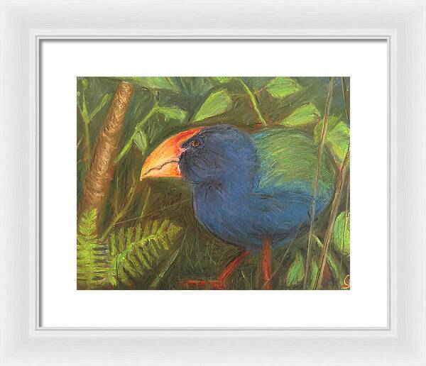 The Takahe - Framed Print