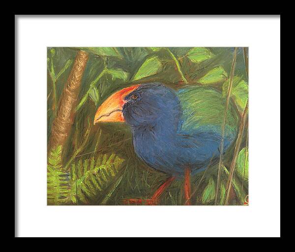 The Takahe - Framed Print