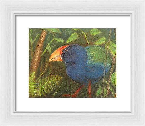 The Takahe - Framed Print