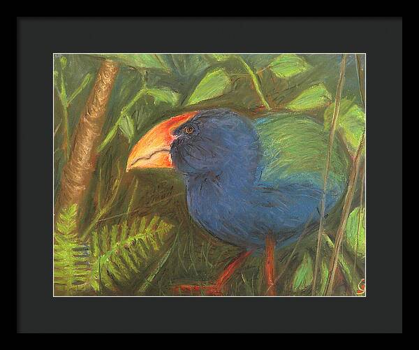 The Takahe - Framed Print