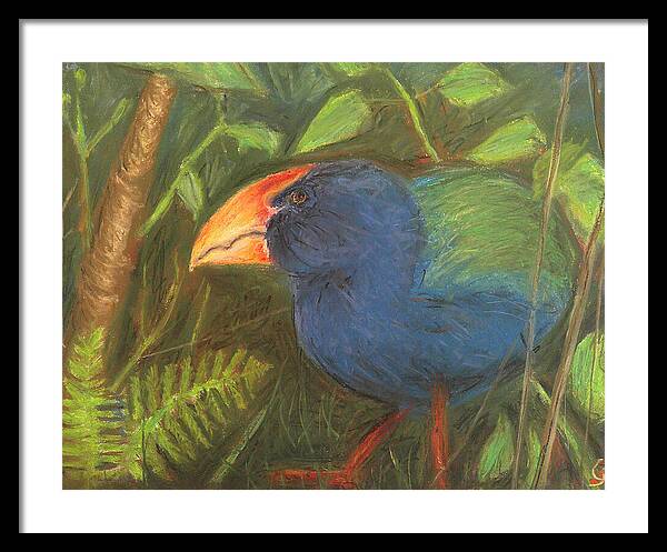 The Takahe - Framed Print