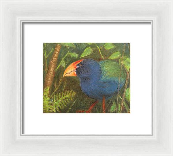 The Takahe - Framed Print