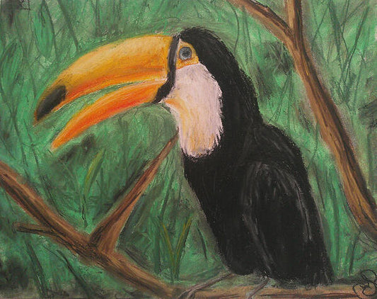 Toucan - Art Print