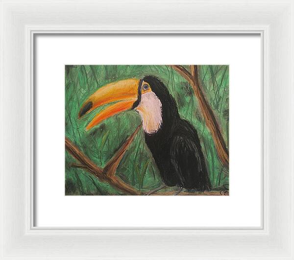 Toucan - Framed Print