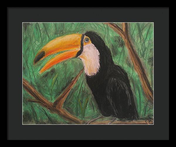 Toucan - Framed Print