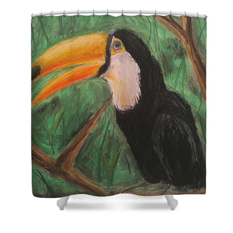 Toucan - Shower Curtain