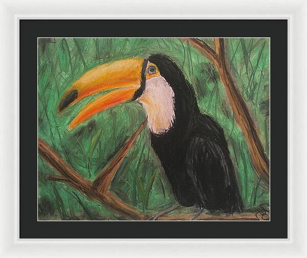 Toucan - Framed Print