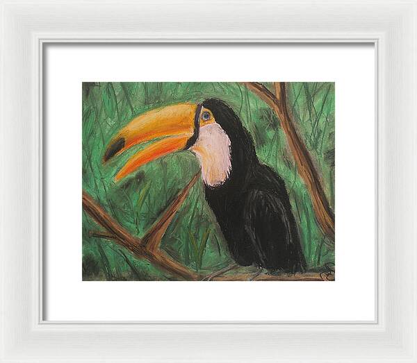 Toucan - Framed Print