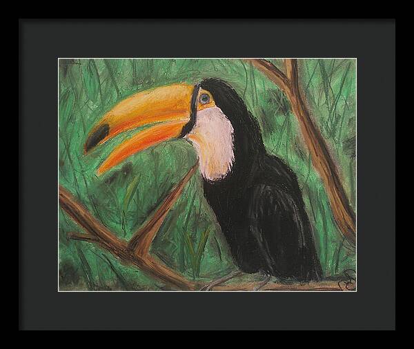 Toucan - Framed Print